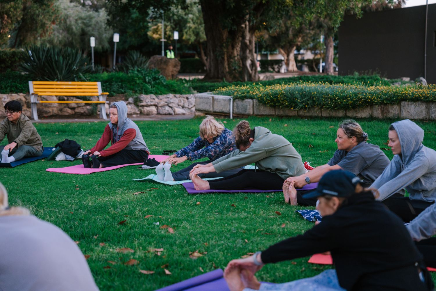Fitness participants practicing pilates in the park
